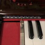 Harmonium Profesyonel