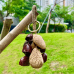 410-005-KC – Dogal Meyve Kabugu Cingirak