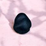 951-000-08 SALIGRAM TASI-04