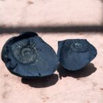 951-000-08 SALIGRAM TASI-04