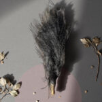 Himalaya Yak Koyunu Kuyruğu Siyah