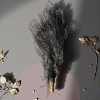 Himalaya Yak Koyunu Kuyruğu Siyah