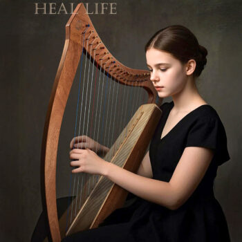 Büyük Boy Arp 19 Telli Paulownia Ağacı