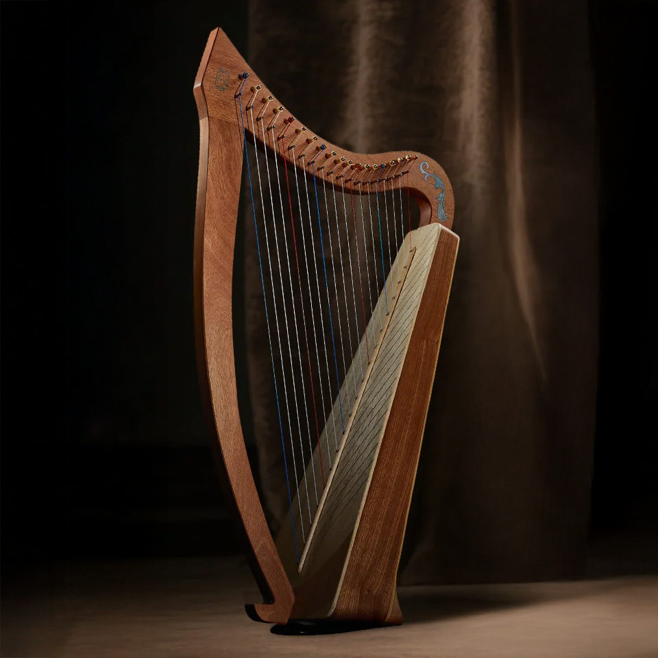 Profesyonel müzisyen ses tearap arp HA19