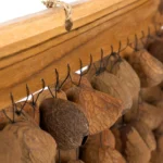 f32f3423_b13524eqyq5y5_45h244h