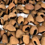 f32f3423_b13524eqyq5y5_45h244h