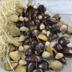 f2f2g3_3g3jnıreqg_34g